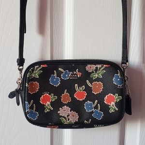 Coach Sadie Crossbody Clutch